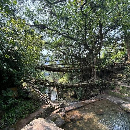 Odyssey Stays Nongriat - 3Kms Trek From Main Road 乞拉朋齐 外观 照片