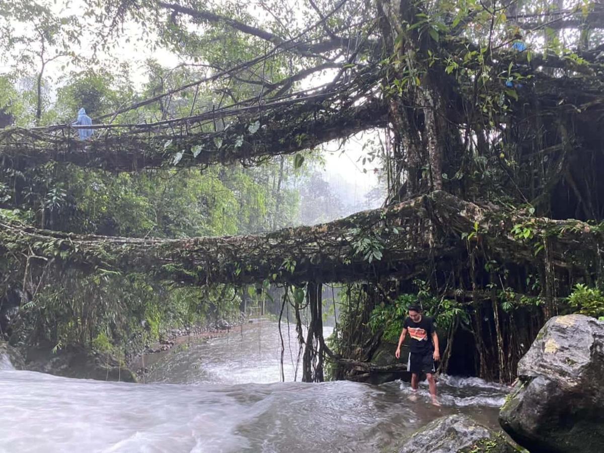 Odyssey Stays Nongriat - 3Kms Trek From Main Road 乞拉朋齐 外观 照片