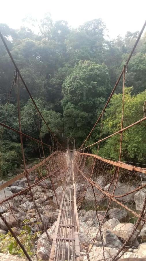 Odyssey Stays Nongriat - 3Kms Trek From Main Road 乞拉朋齐 外观 照片