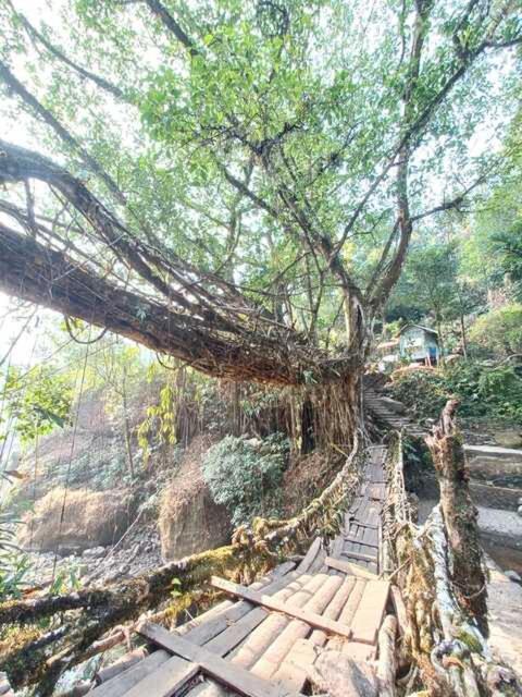 Odyssey Stays Nongriat - 3Kms Trek From Main Road 乞拉朋齐 外观 照片