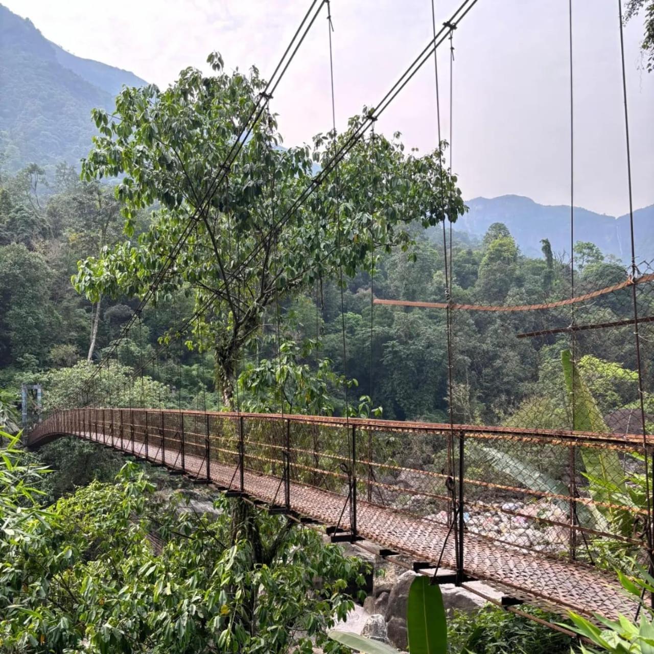 Odyssey Stays Nongriat - 3Kms Trek From Main Road 乞拉朋齐 外观 照片