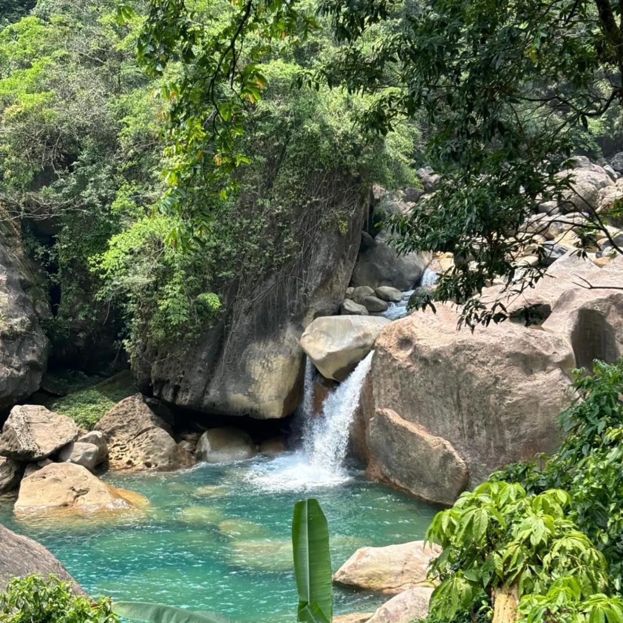 Odyssey Stays Nongriat - 3Kms Trek From Main Road 乞拉朋齐 外观 照片